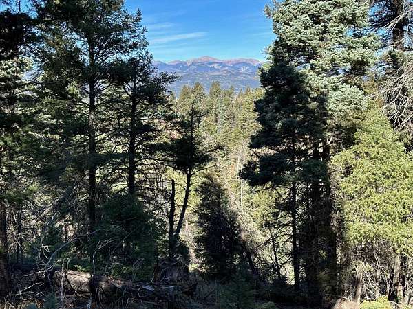 2 Acres of Land for Sale in Angel Fire, New Mexico