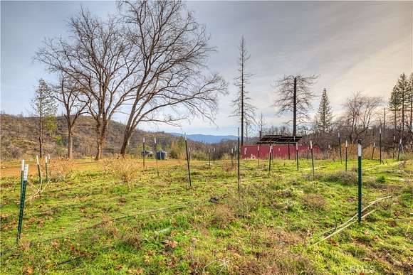 40.8 Acres of Land for Sale in Berry Creek, California