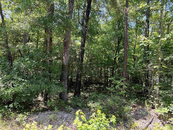 0.29 Acres of Residential Land for Sale in Hot Springs Village, Arkansas