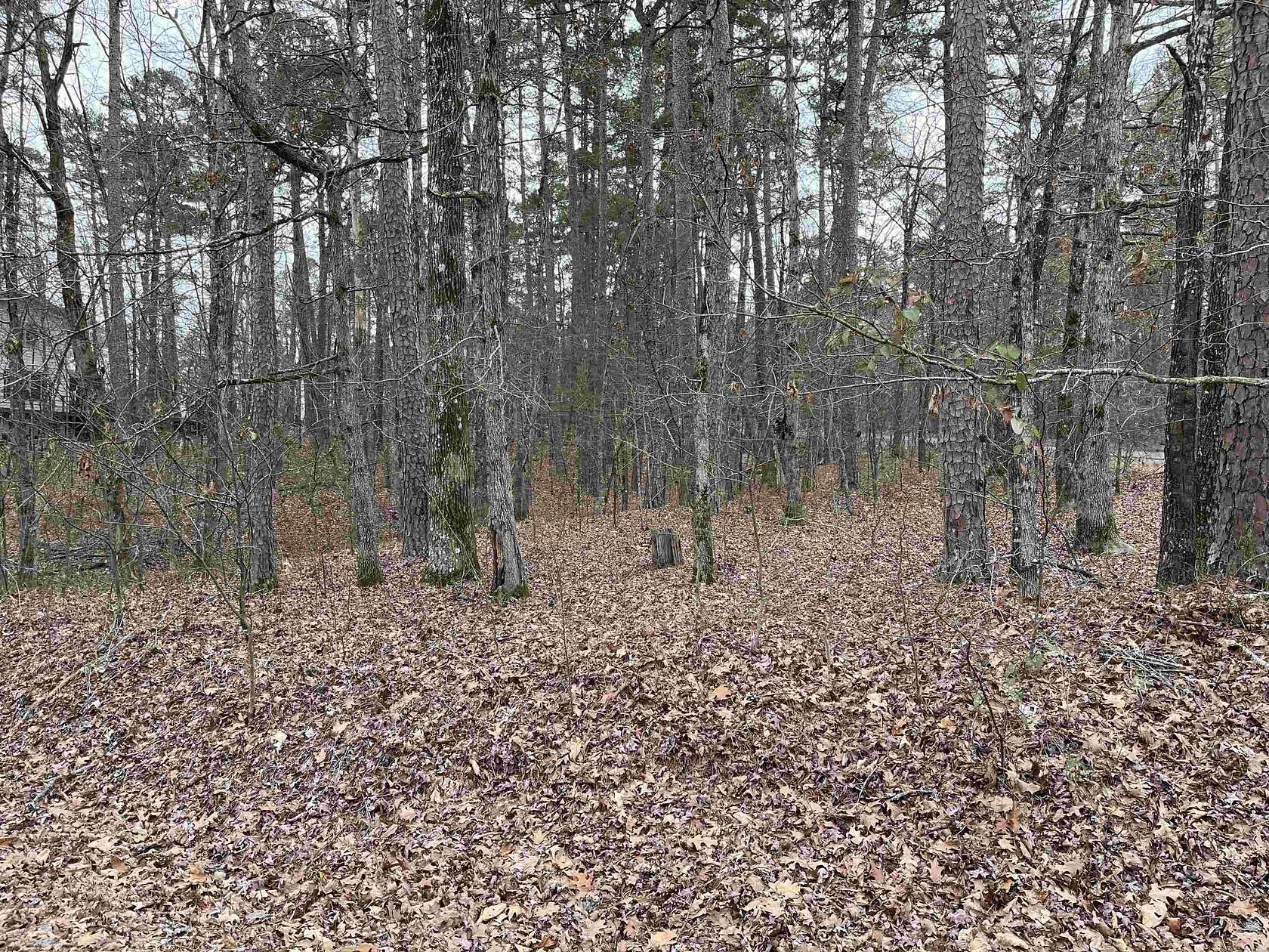 0.305 Acres of Residential Land for Sale in Hot Springs Village, Arkansas