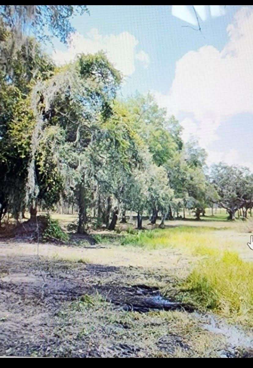 4.8 Acres of Residential Land for Sale in Weirsdale, Florida