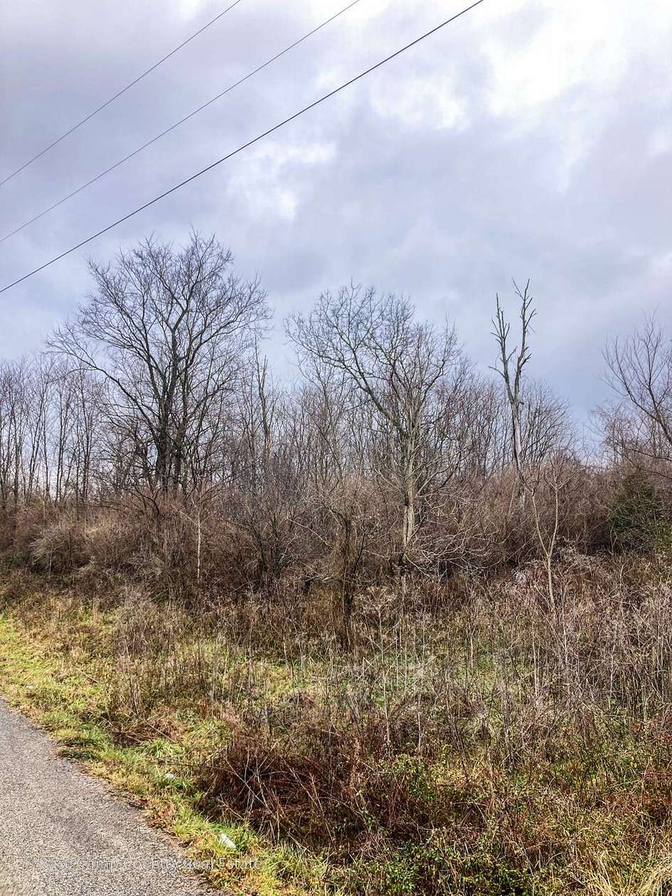 9.5 Acres of Residential Land for Sale in Patriot, Indiana