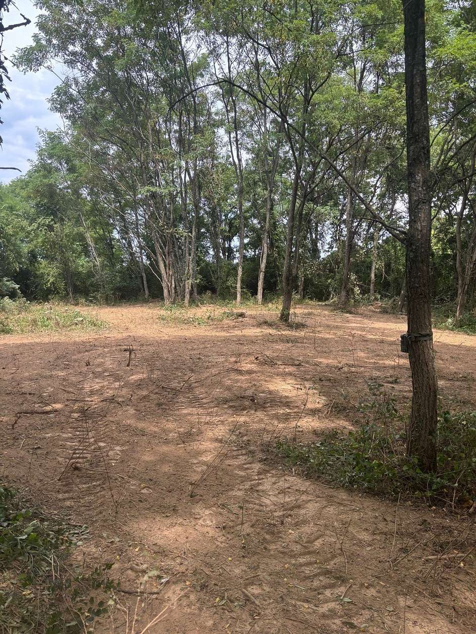 9.47 Acres of Residential Land for Sale in Patriot, Indiana