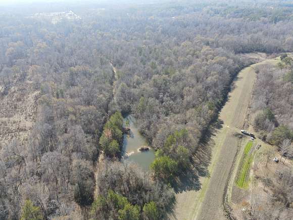 64 Acres of Recreational Land & Farm for Sale in Pearl, Mississippi