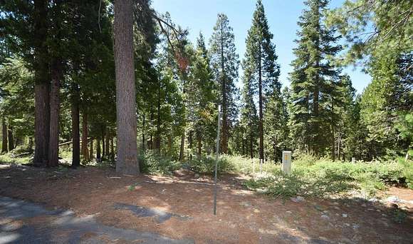 0.54 Acres of Residential Land for Sale in Shaver Lake, California