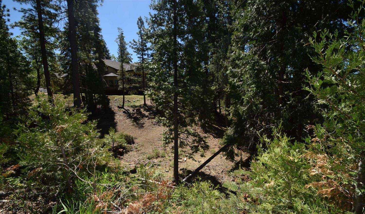 0.55 Acres of Residential Land for Sale in Shaver Lake, California