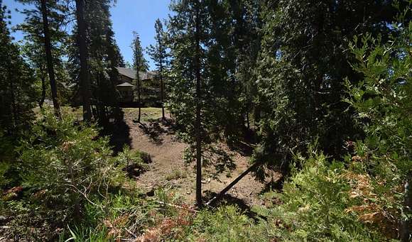 0.548 Acres of Residential Land for Sale in Shaver Lake, California