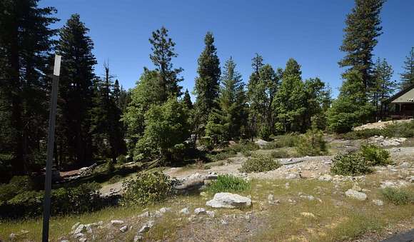 0.528 Acres of Residential Land for Sale in Shaver Lake, California