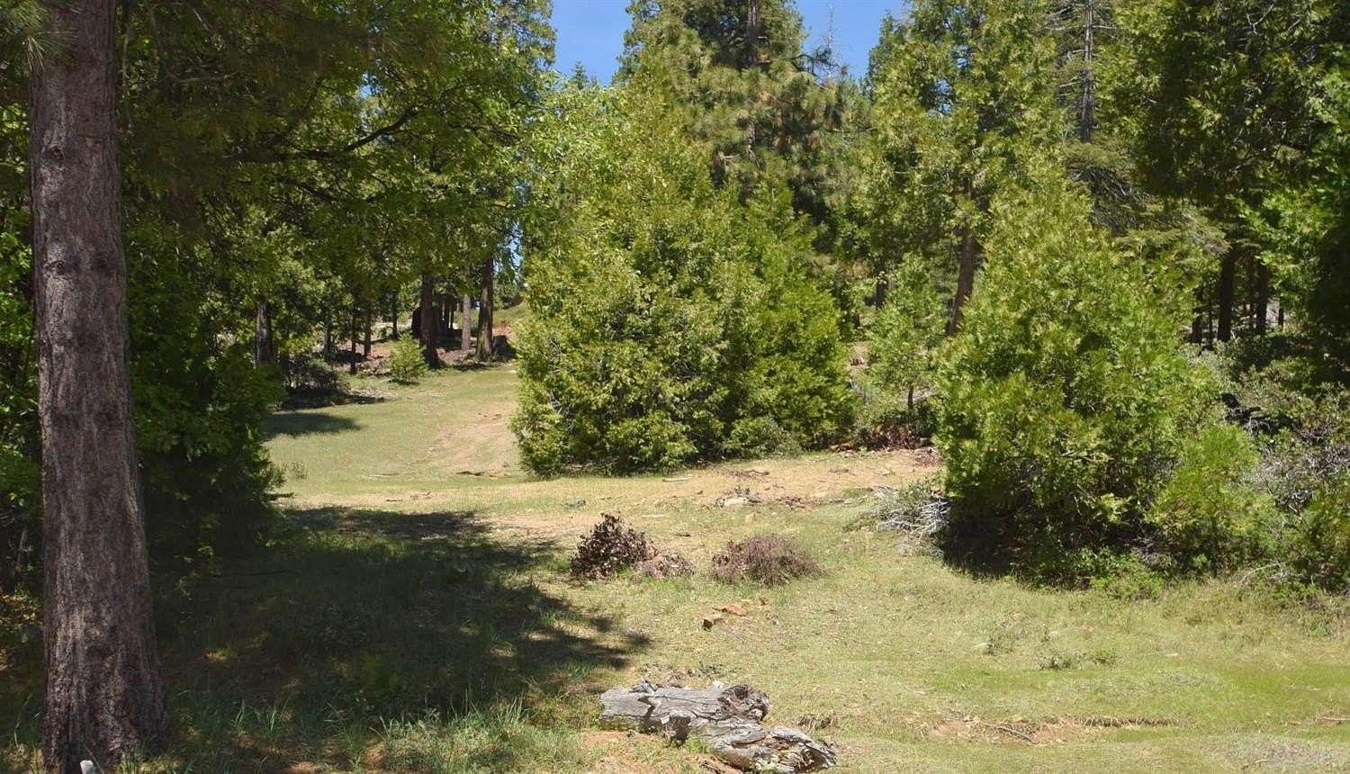0.52 Acres of Residential Land for Sale in Shaver Lake, California