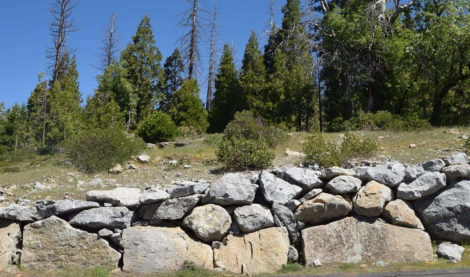 0.55 Acres of Residential Land for Sale in Shaver Lake, California