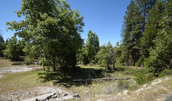 0.525 Acres of Residential Land for Sale in Shaver Lake, California