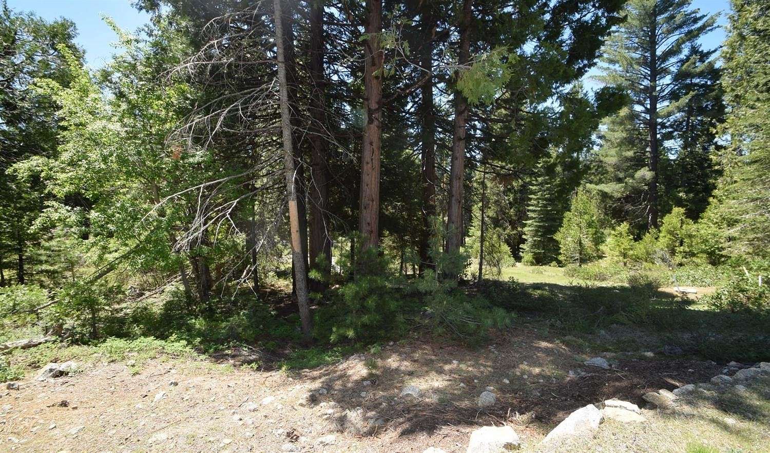 0.52 Acres of Residential Land for Sale in Shaver Lake, California