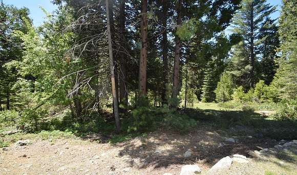 0.523 Acres of Residential Land for Sale in Shaver Lake, California