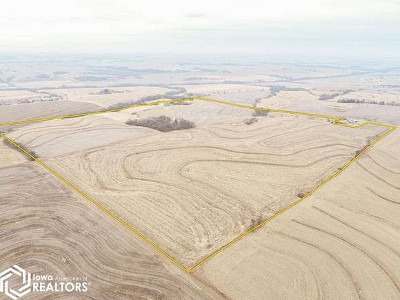156 Acres of Agricultural Land for Sale in Essex, Iowa