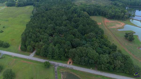 28.6 Acres of Recreational Land for Sale in Elko, Georgia