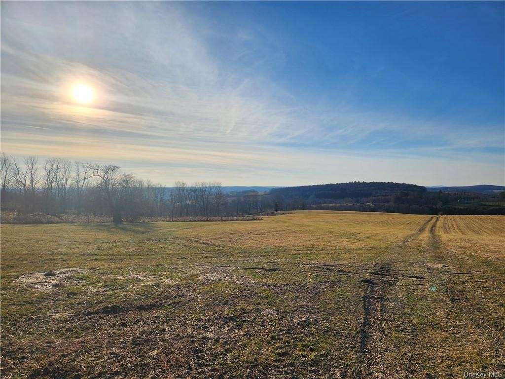 102 Acres of Land for Sale in Delaware Town, New York
