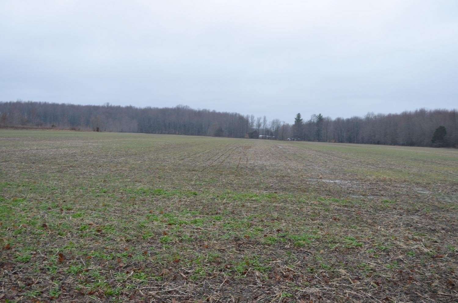 23.74 Acres of Agricultural Land for Sale in Aurora, Indiana