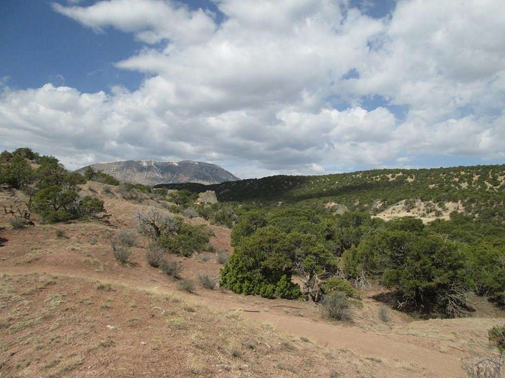 35.2 Acres of Recreational Land for Sale in Gardner, Colorado