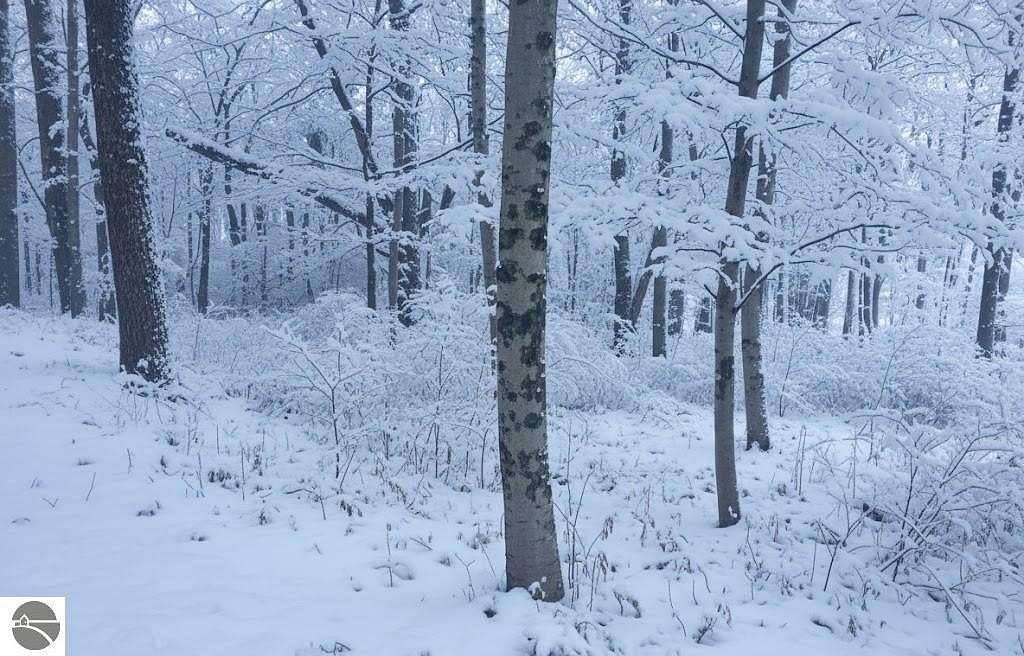 0.94 Acres of Residential Land for Sale in Grawn, Michigan