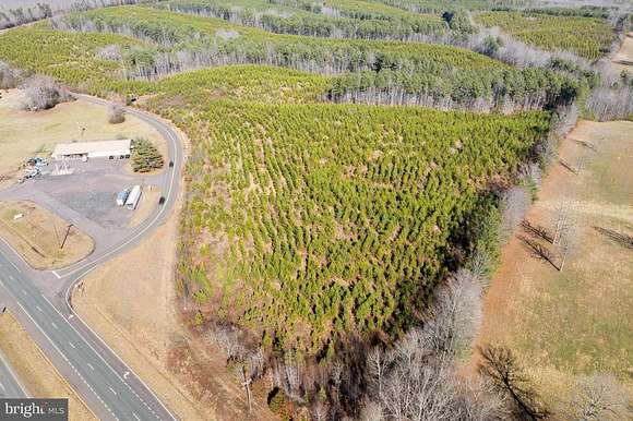 47.7 Acres of Land for Sale in Lignum, Virginia
