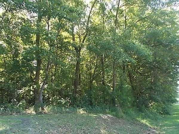 1 Acre of Residential Land for Sale in Moncks Corner, South Carolina