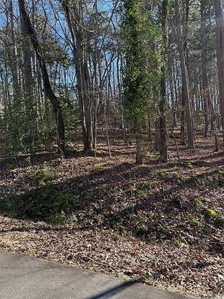 0.27 Acres of Residential Land for Sale in Hot Springs Village, Arkansas