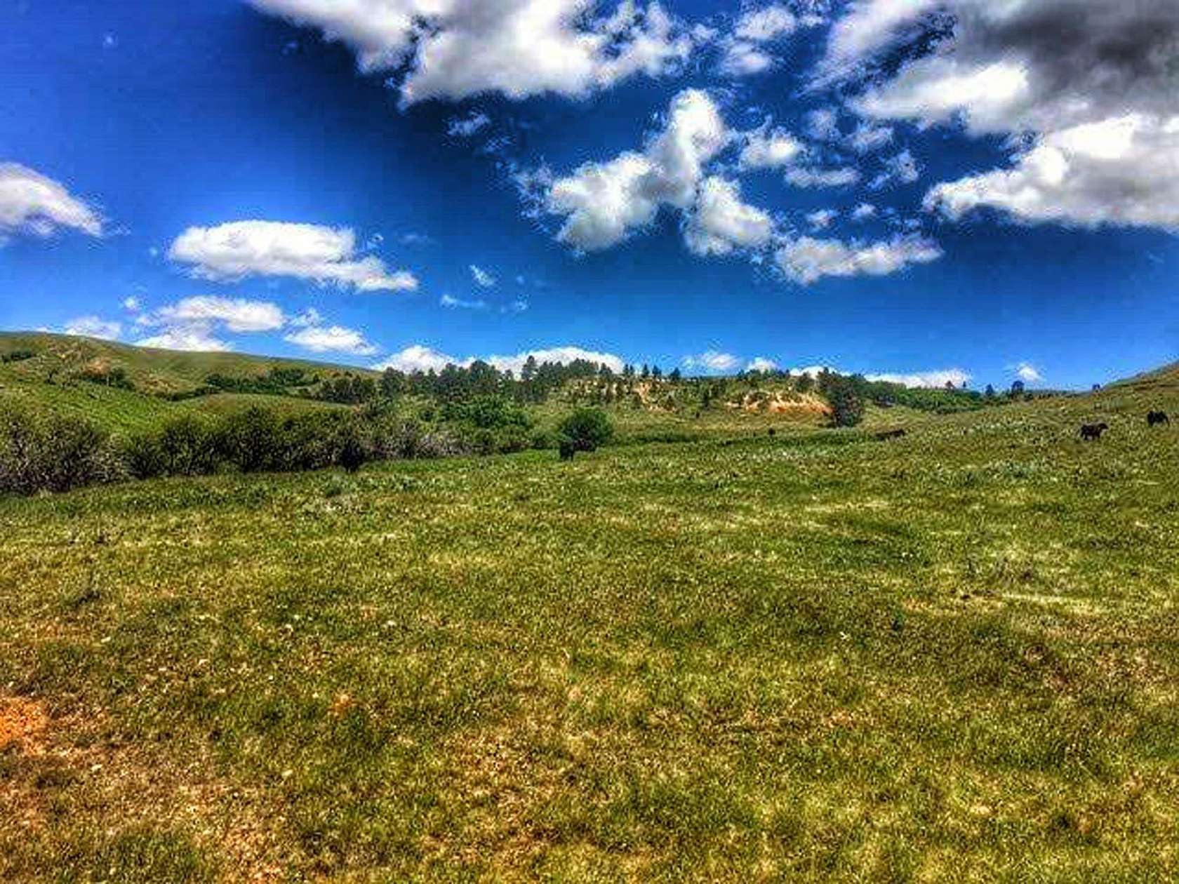 40.6 Acres of Agricultural Land for Sale in Sundance, Wyoming