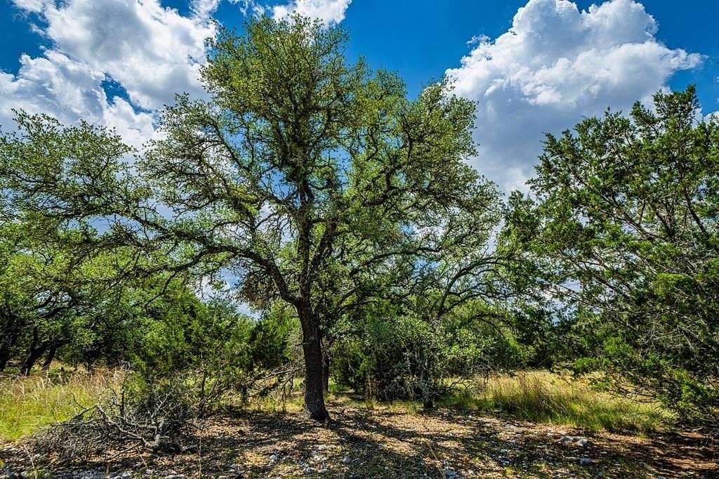 10 Acres of Residential Land for Sale in Mountain Home, Texas
