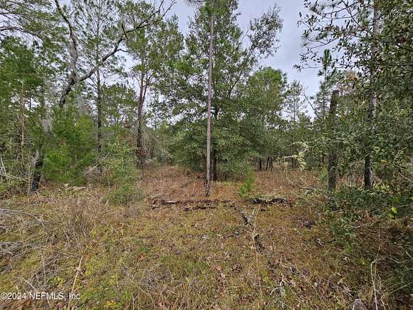 2.5 Acres of Residential Land for Sale in Hawthorne, Florida