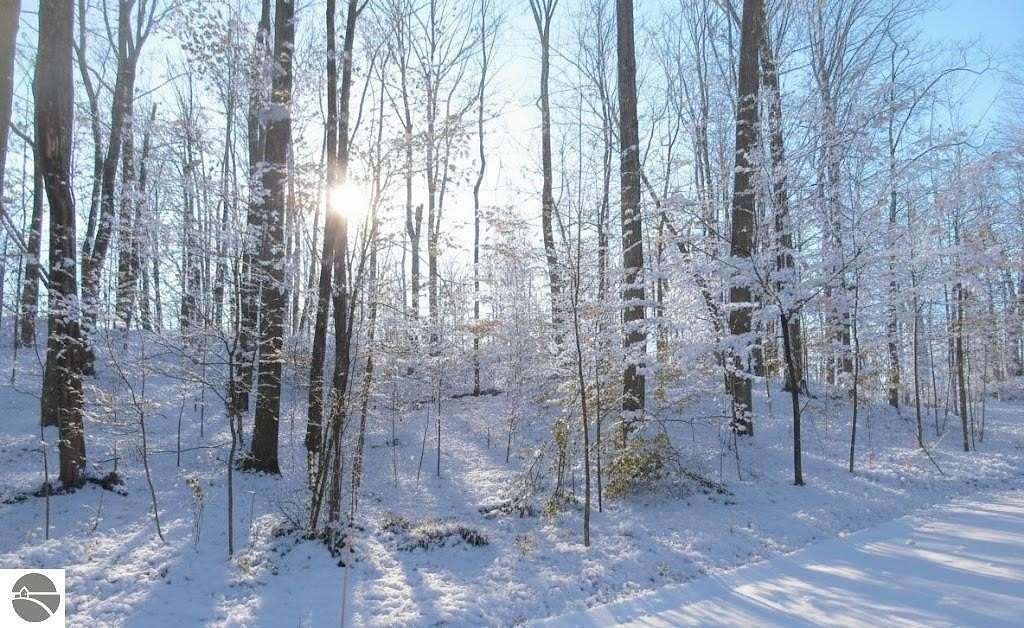 0.87 Acres of Residential Land for Sale in Grawn, Michigan