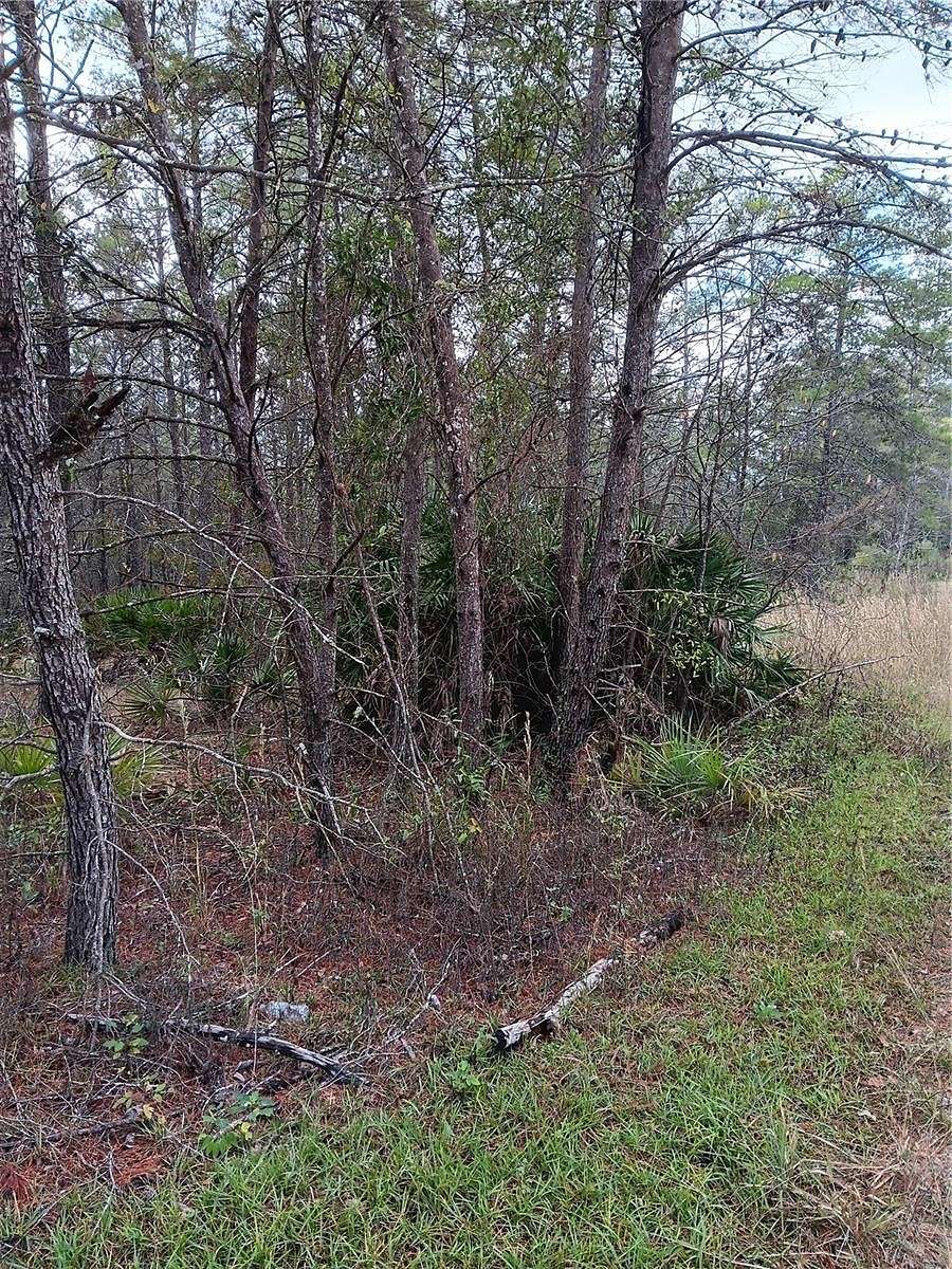 5 Acres of Land for Sale in Dunnellon, Florida