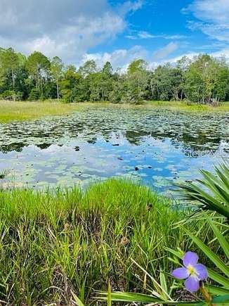 10.3 Acres of Land for Sale in Citra, Florida