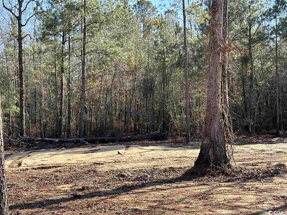 0.43 Acres of Residential Land for Sale in Gresham, South Carolina