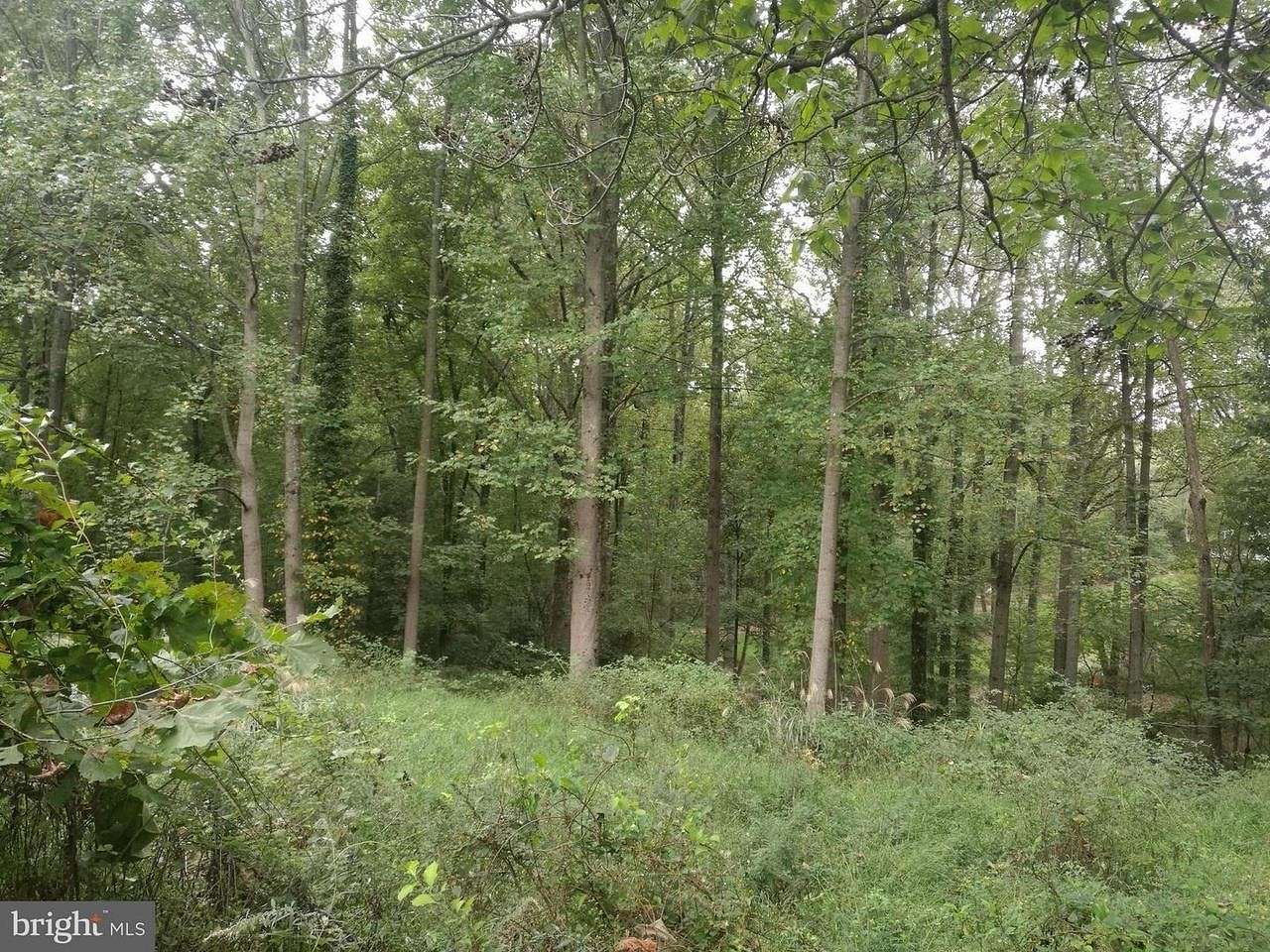 5 Acres of Residential Land for Sale in Rossville, Tennessee