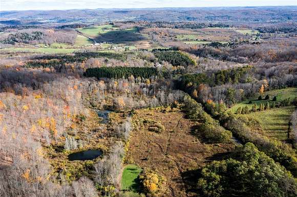 12.3 Acres of Recreational Land for Sale in Columbus, New York