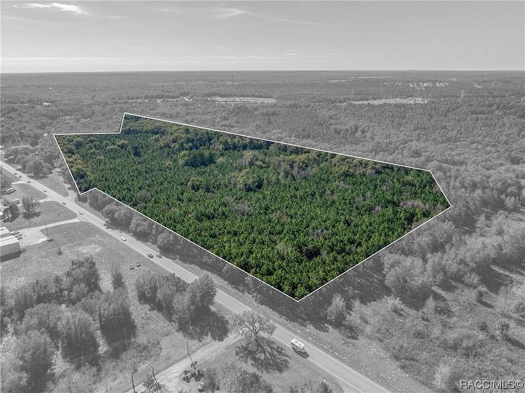 40.67 Acres of Mixed-Use Land for Sale in Holder, Florida