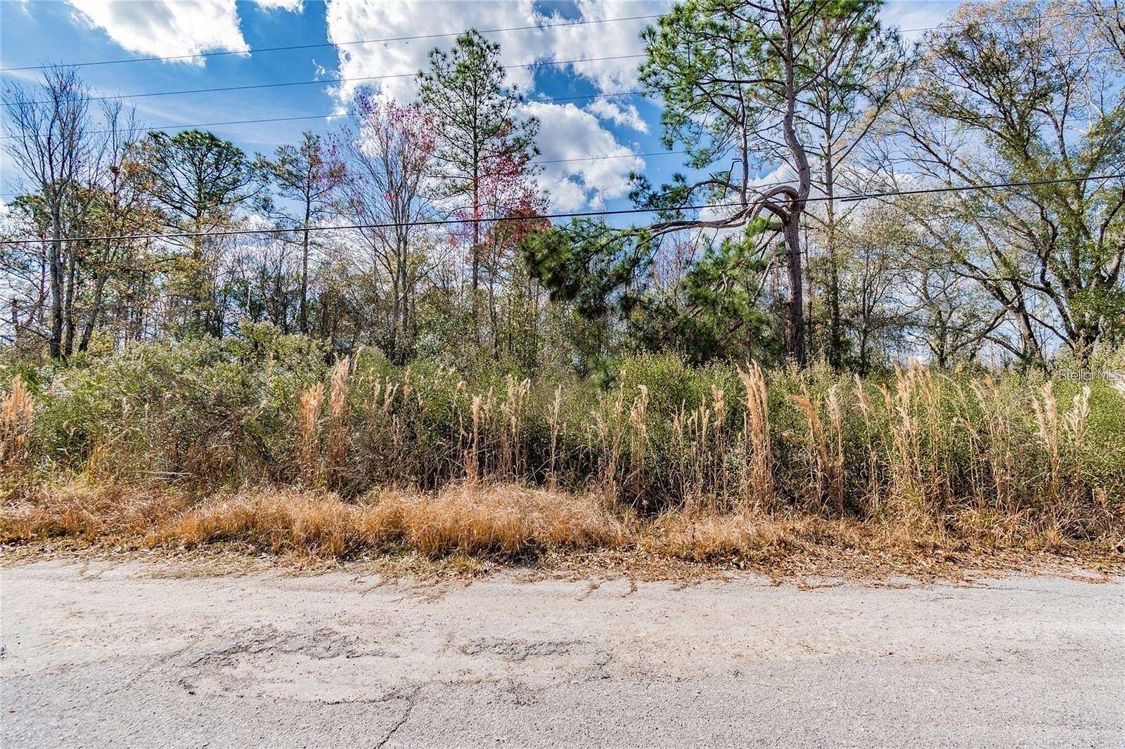 5.5 Acres of Land for Sale in Wesley Chapel, Florida