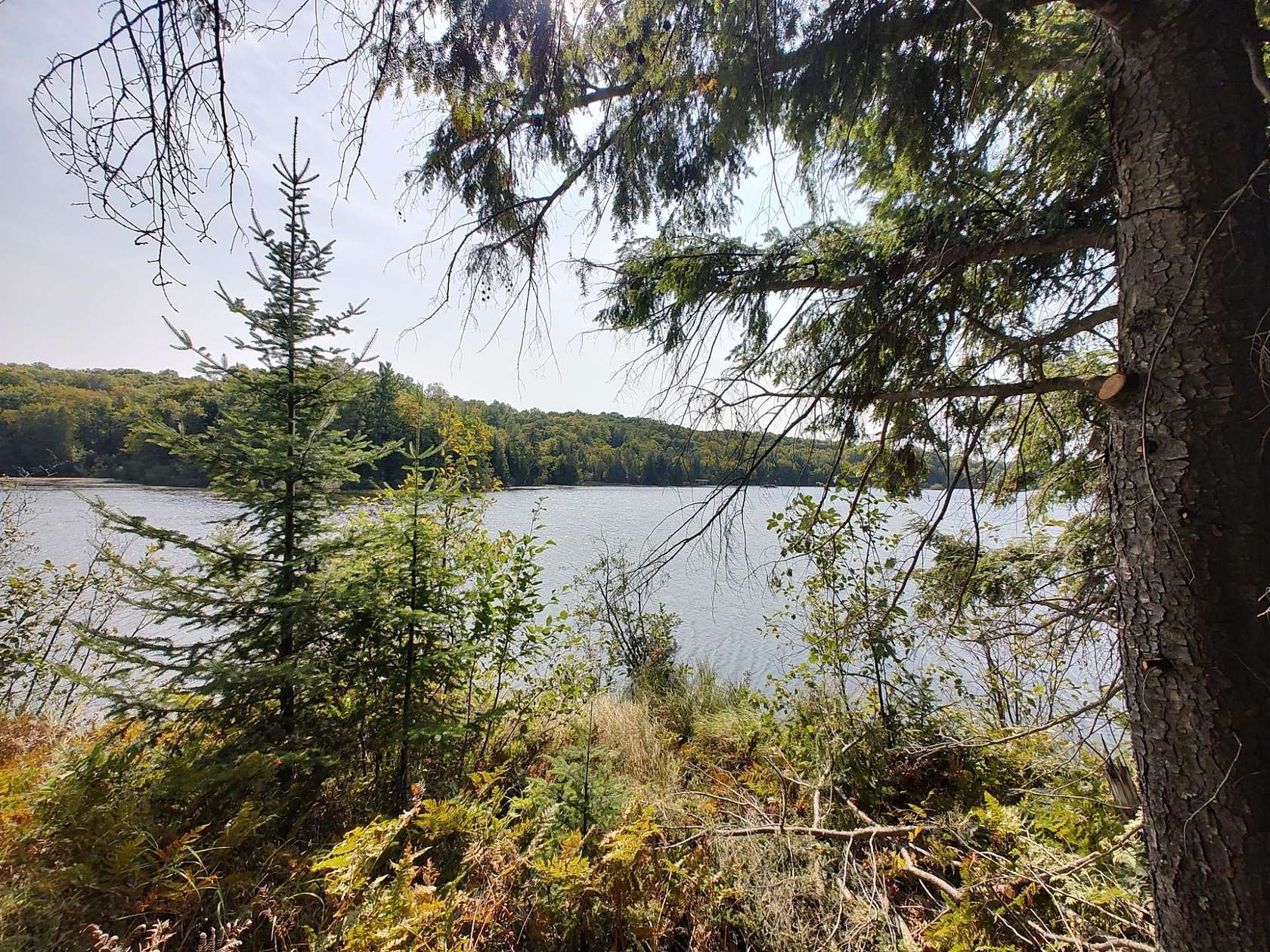 1.96 Acres of Land for Sale in Presque Isle, Michigan