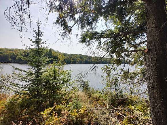 1.96 Acres of Land for Sale in Presque Isle, Michigan