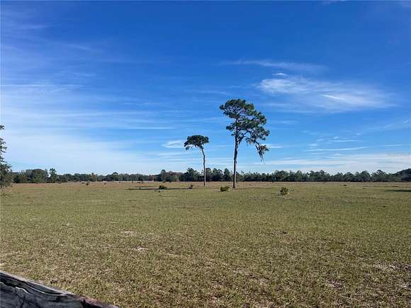 22 Acres of Agricultural Land for Sale in Astatula, Florida