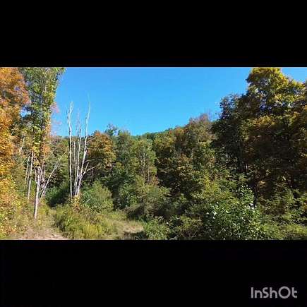 92 Acres of Land for Sale in Rainelle, West Virginia
