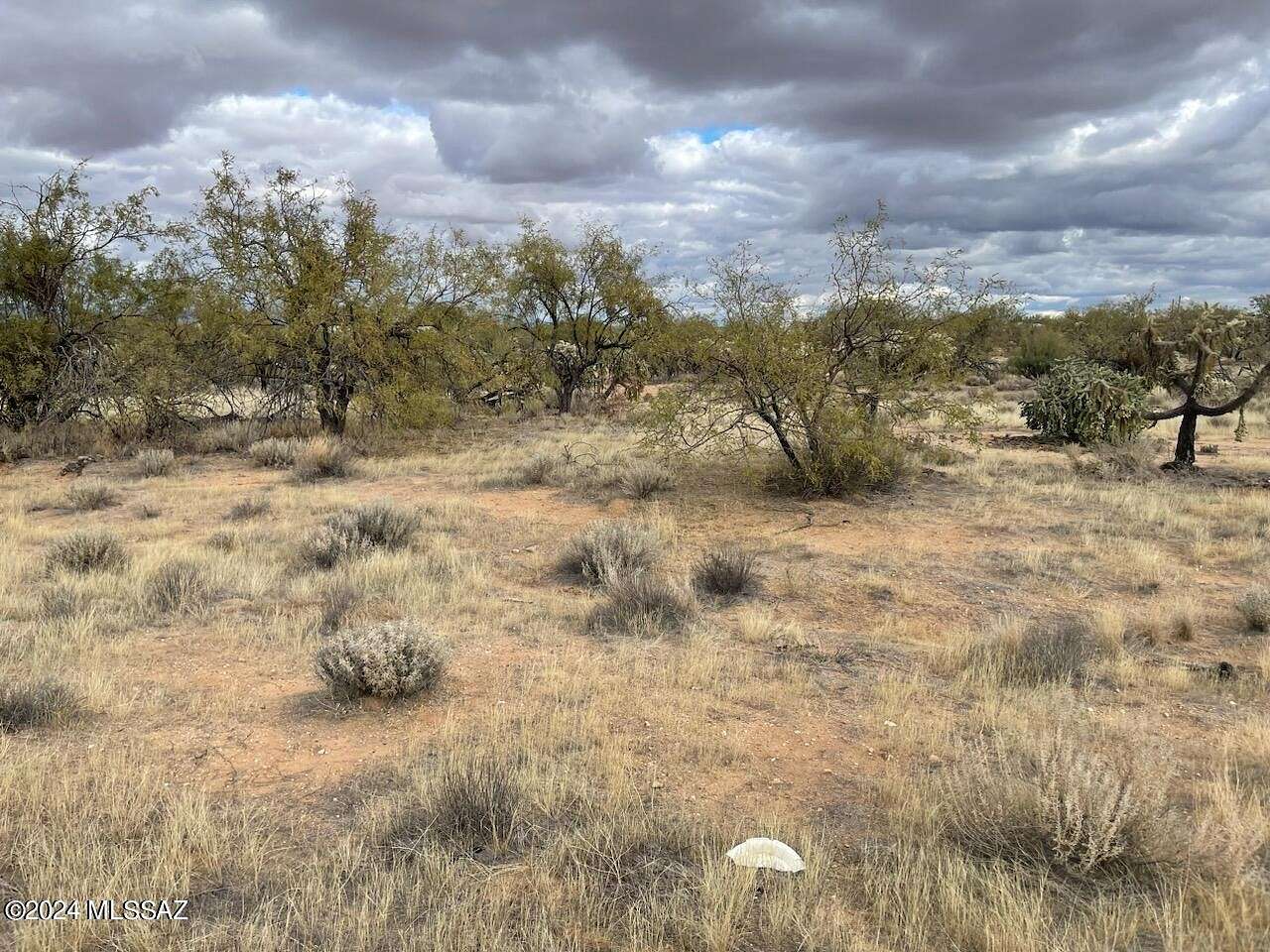 1.03 Acres of Residential Land for Sale in Tucson, Arizona