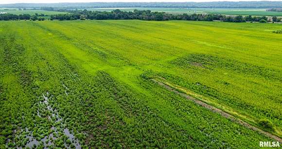 103 Acres of Recreational Land & Farm for Sale in Hillsdale, Illinois
