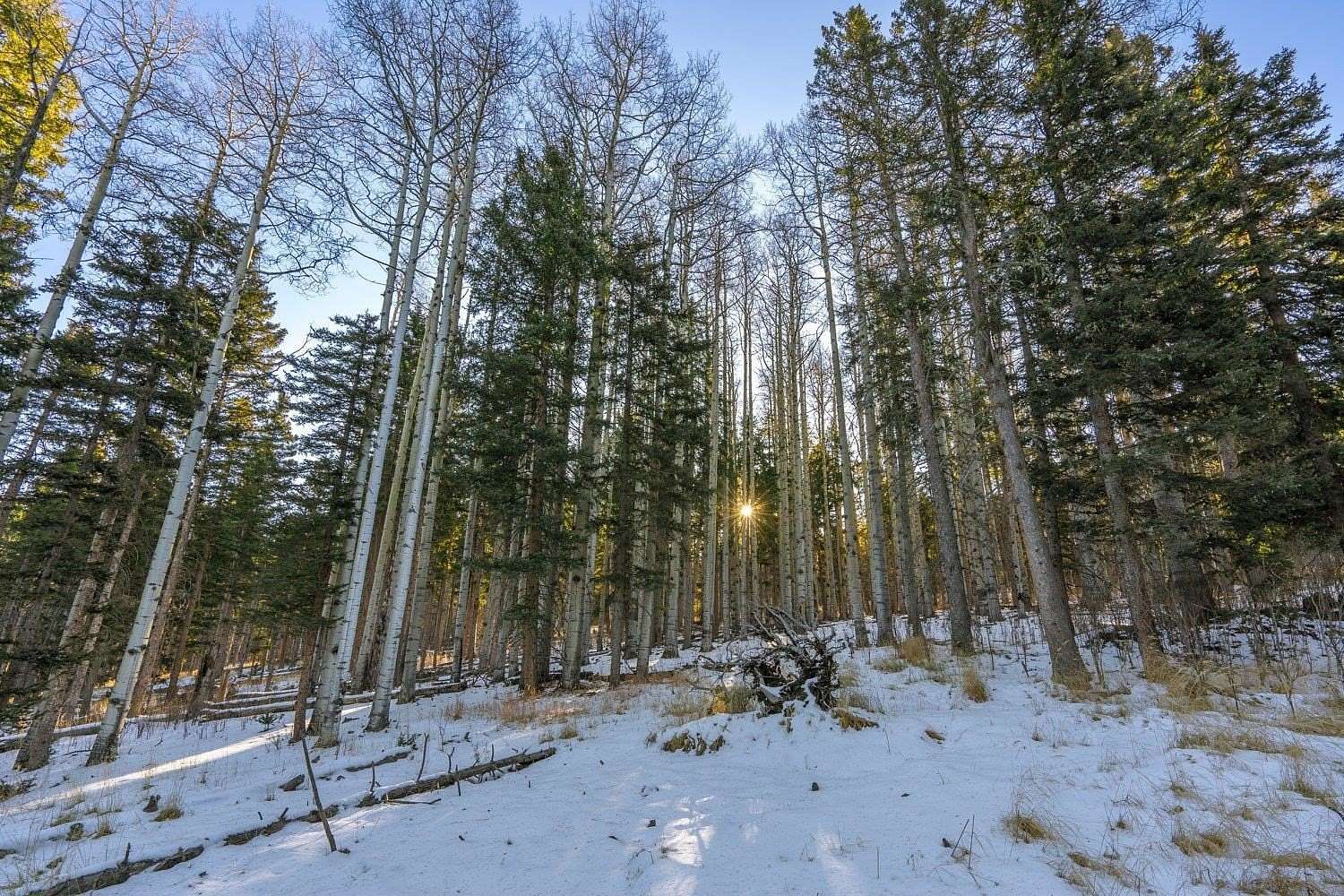 10 Acres of Land for Sale in Angel Fire, New Mexico