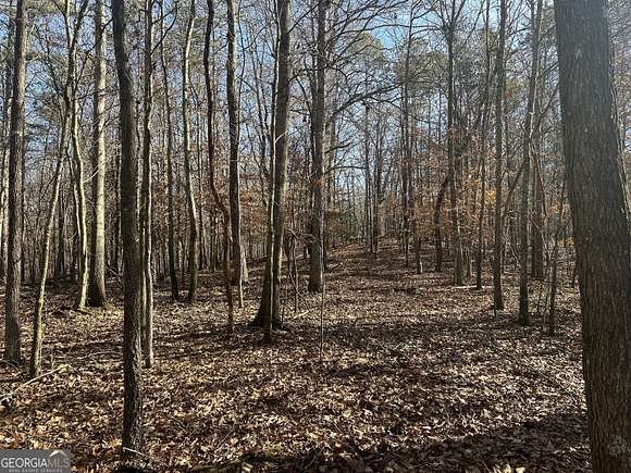 18.3 Acres of Recreational Land for Sale in Royston, Georgia