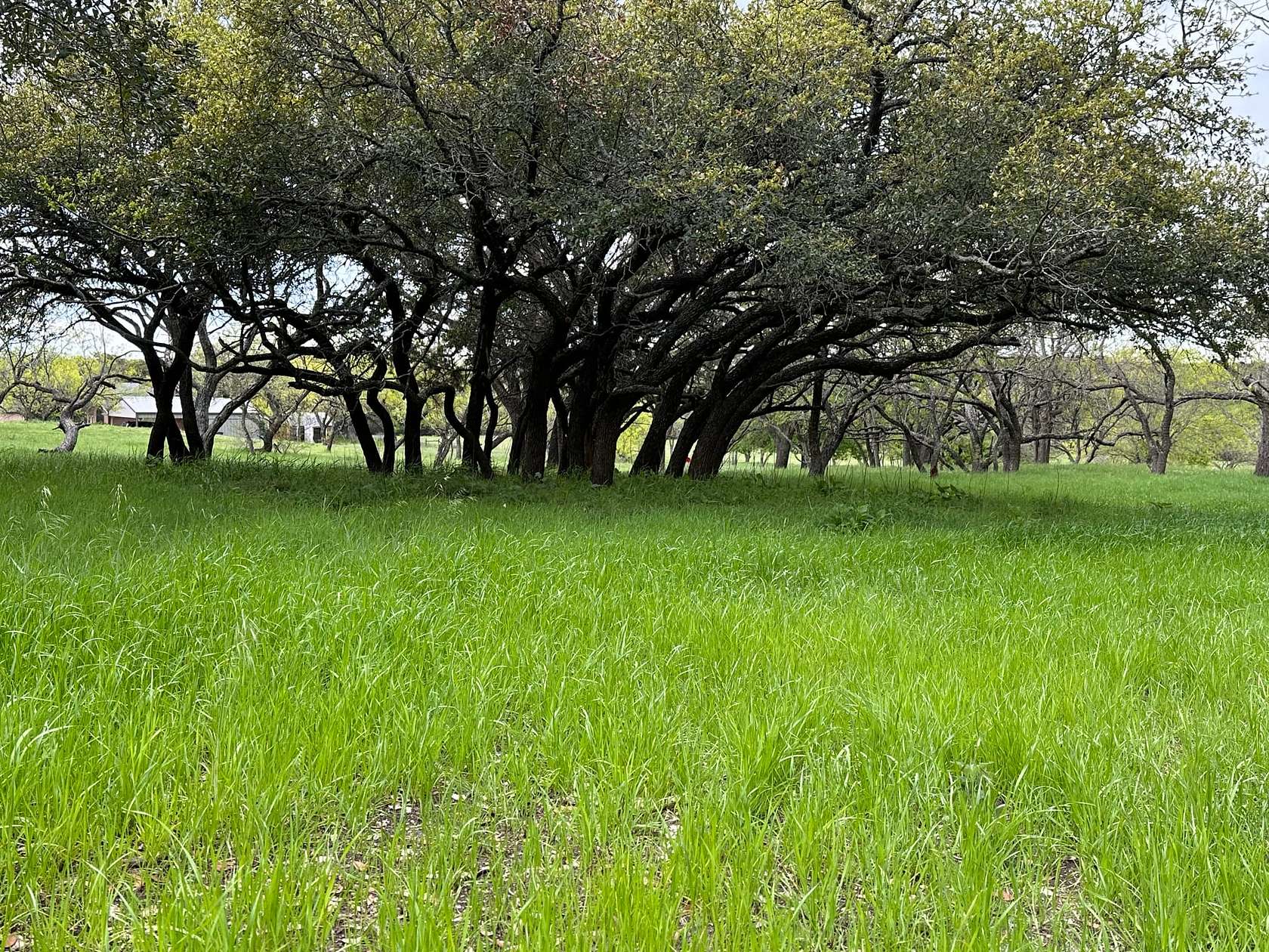 15 Acres of Recreational Land for Sale in Lampasas, Texas