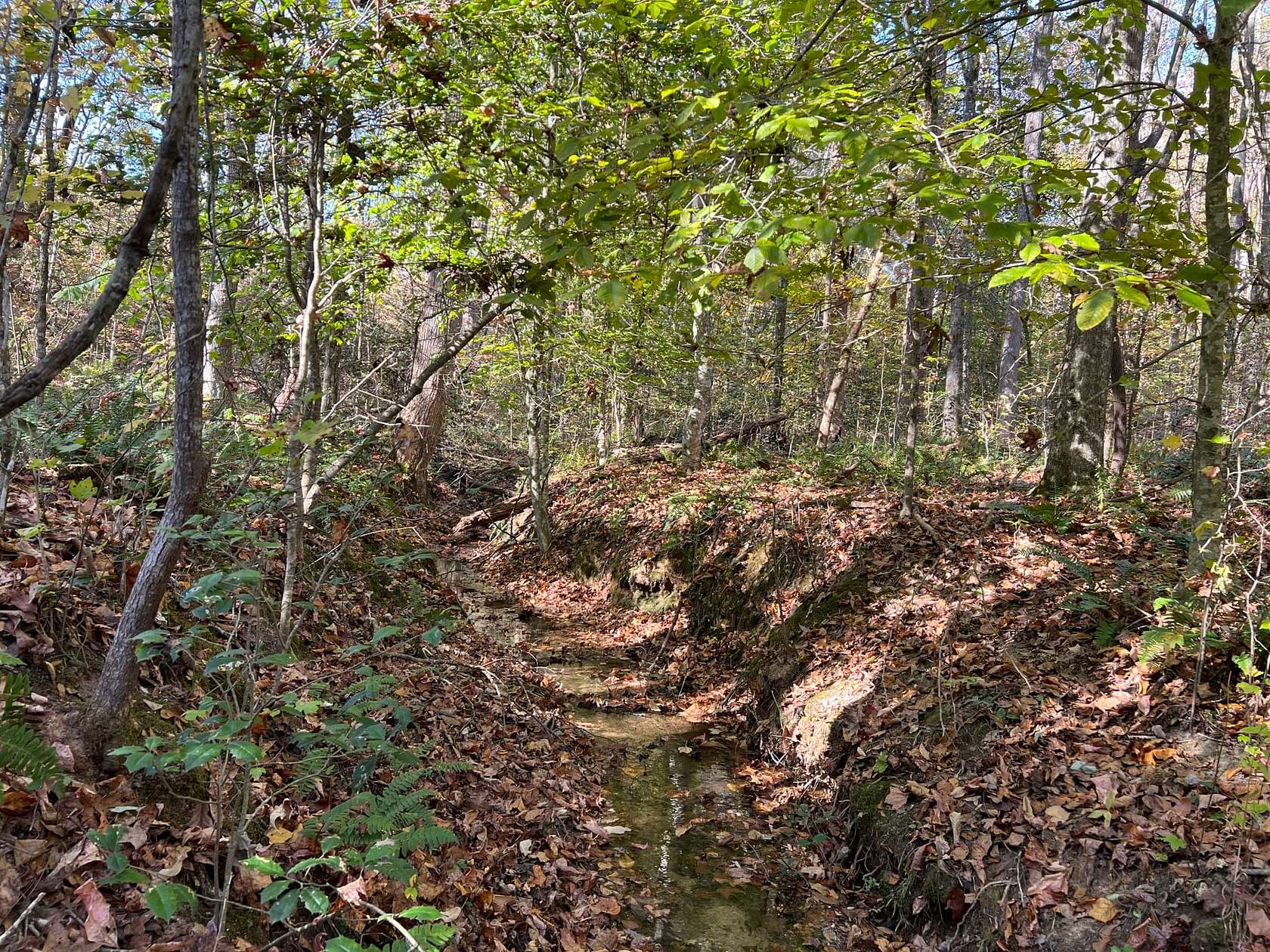 18 Acres of Recreational Land for Sale in Elberton, Georgia