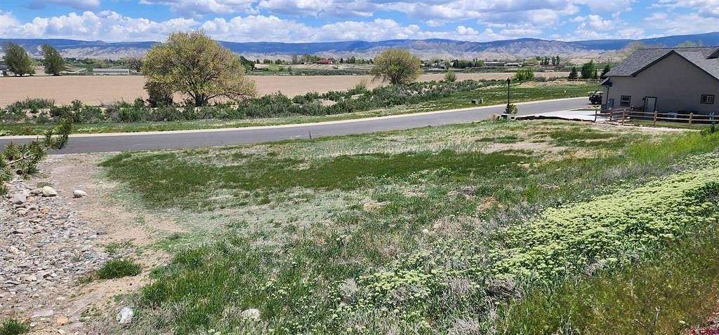 0.45 Acres of Residential Land for Sale in Montrose, Colorado