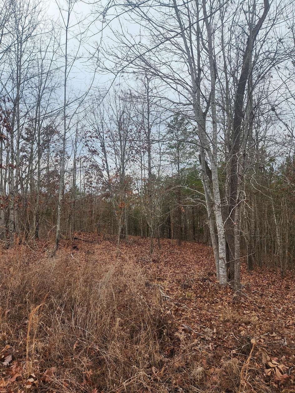 0.59 Acres of Residential Land for Sale in Ten Mile, Tennessee
