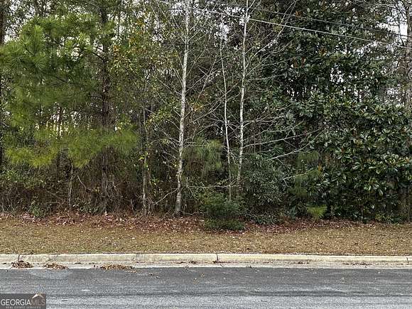 0.34 Acres of Residential Land for Sale in Thomasville, Georgia